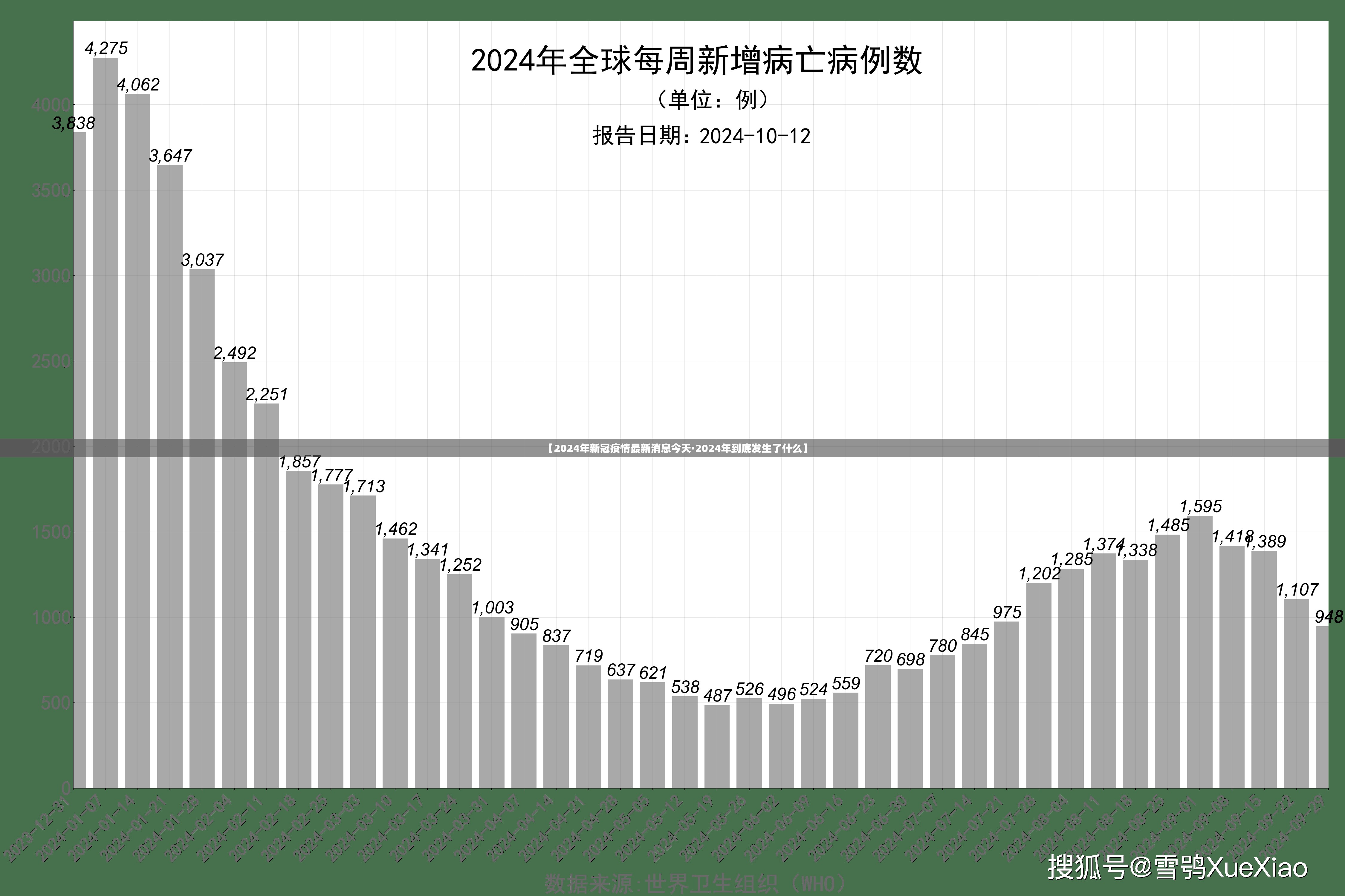 【2024年新冠疫情最新消息今天·2024年到底发生了什么】