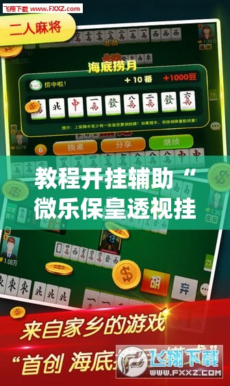 教程开挂辅助“微乐保皇透视挂作用”(透视挂)辅助透视教程
