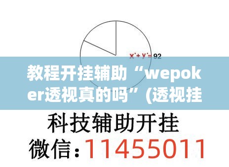 教程开挂辅助“wepoker透视真的吗”(透视挂)辅助透视教程
