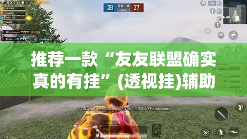 推荐一款“友友联盟确实真的有挂”(透视挂)辅助透视教程