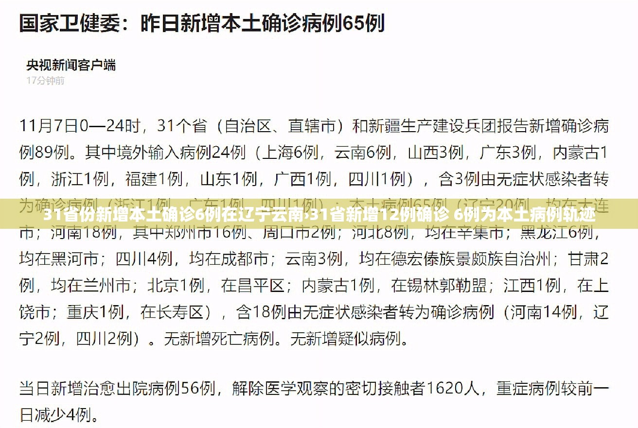 31省份新增本土确诊6例在辽宁云南›31省新增12例确诊 6例为本土病例轨迹