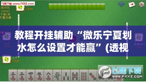 教程开挂辅助“微乐宁夏划水怎么设置才能赢”(透视挂)辅助透视教程