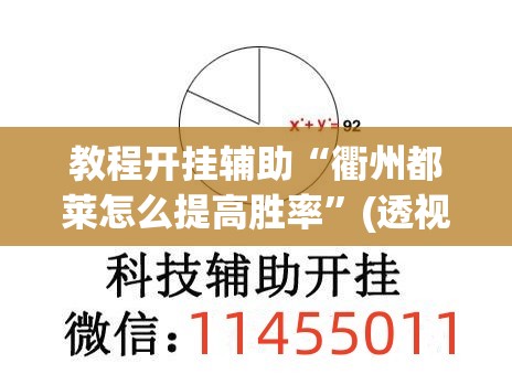 教程开挂辅助“衢州都莱怎么提高胜率”(透视挂)辅助透视教程