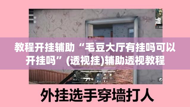 教程开挂辅助“毛豆大厅有挂吗可以开挂吗”(透视挂)辅助透视教程