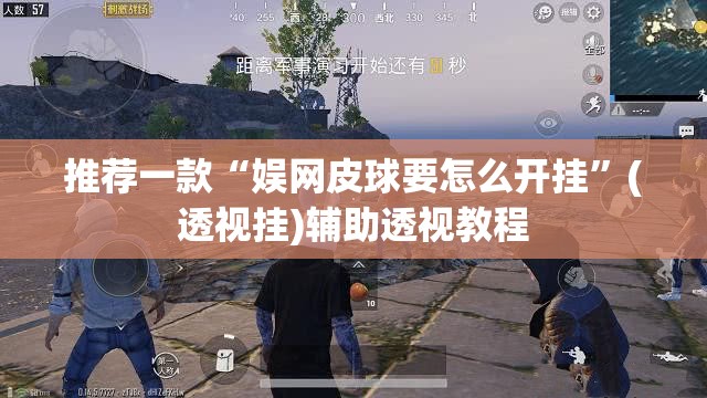 推荐一款“娱网皮球要怎么开挂”(透视挂)辅助透视教程