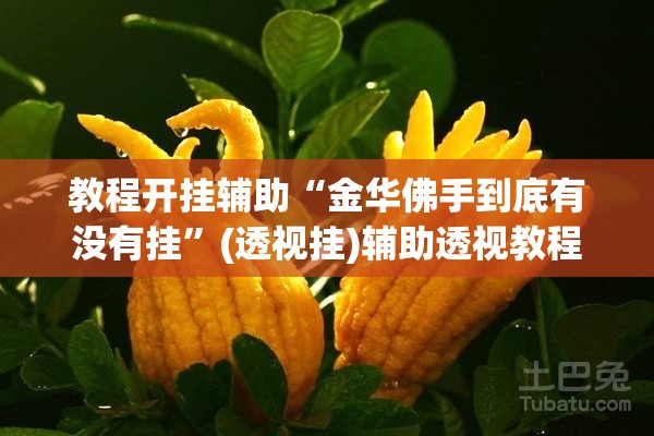 教程开挂辅助“金华佛手到底有没有挂	”(透视挂)辅助透视教程