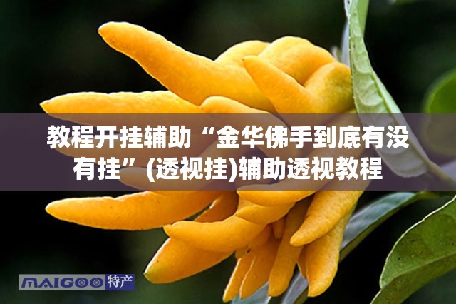 教程开挂辅助“金华佛手到底有没有挂”(透视挂)辅助透视教程