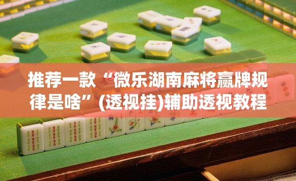 推荐一款“微乐湖南麻将赢牌规律是啥”(透视挂)辅助透视教程