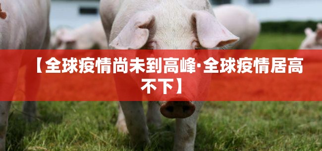 【全球疫情尚未到高峰·全球疫情居高不下】