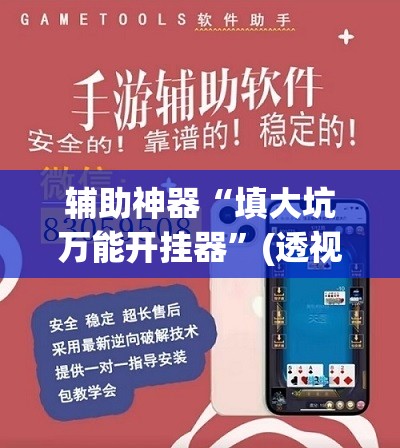 辅助神器“填大坑万能开挂器	”(透视挂)辅助透视教程