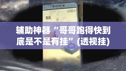 辅助神器“哥哥跑得快到底是不是有挂”(透视挂)辅助透视教程