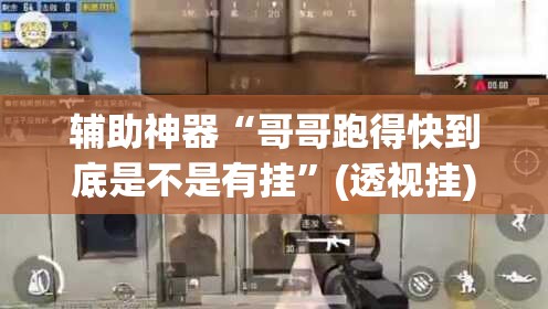 辅助神器“哥哥跑得快到底是不是有挂”(透视挂)辅助透视教程
