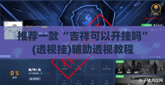 推荐一款“吉祥可以开挂吗”(透视挂)辅助透视教程