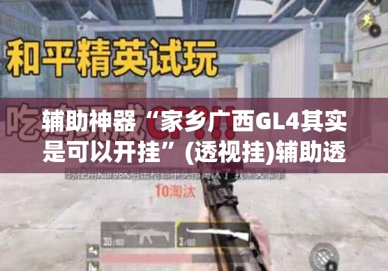辅助神器“家乡广西GL4其实是可以开挂	”(透视挂)辅助透视教程