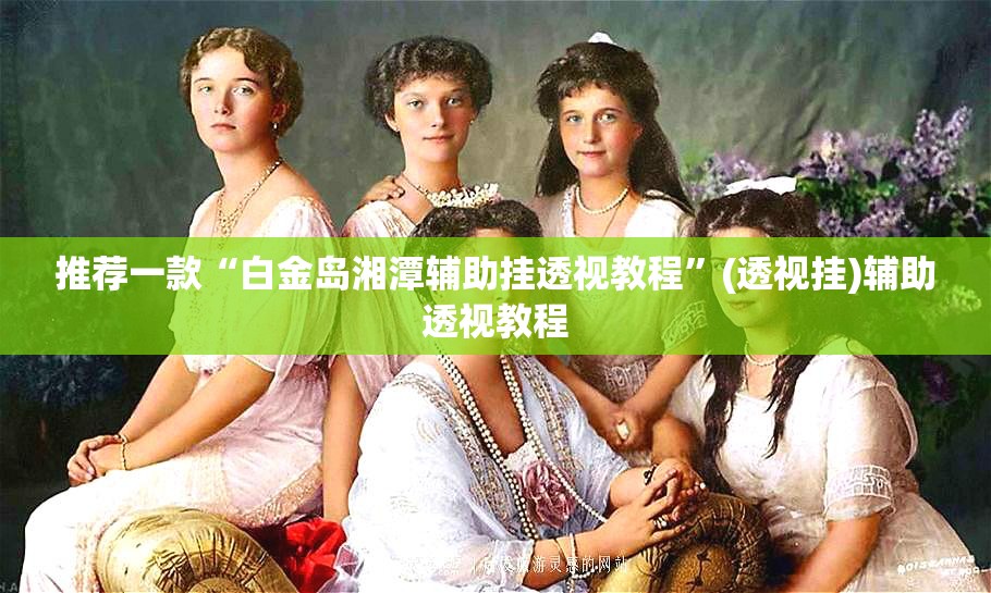 推荐一款“白金岛湘潭辅助挂透视教程”(透视挂)辅助透视教程