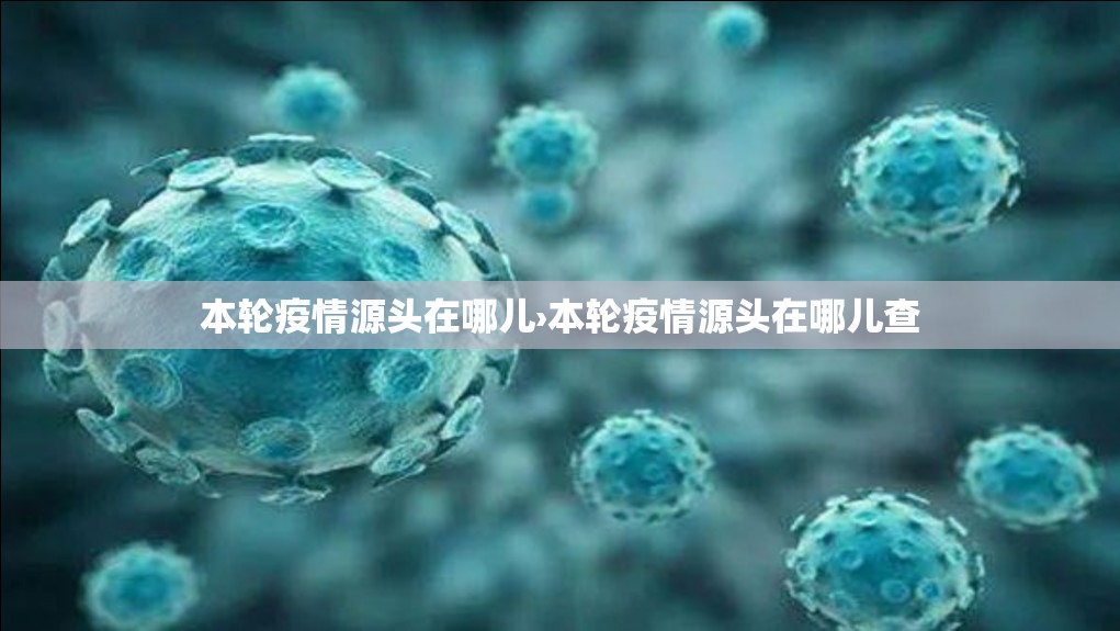 本轮疫情源头在哪儿›本轮疫情源头在哪儿查