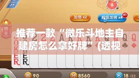 推荐一款“微乐斗地主自建房怎么拿好牌”(透视挂)辅助透视教程