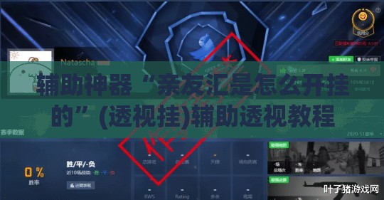 辅助神器“亲友汇是怎么开挂的”(透视挂)辅助透视教程