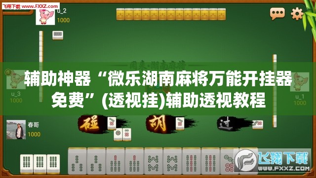 辅助神器“微乐湖南麻将万能开挂器免费”(透视挂)辅助透视教程