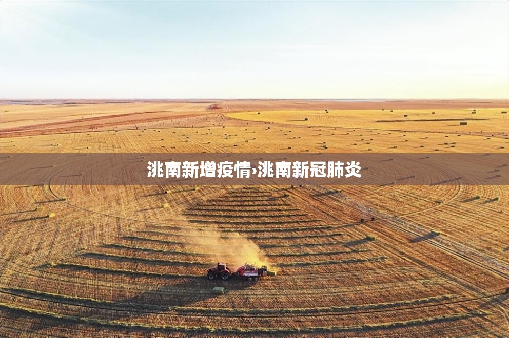 洮南新增疫情›洮南新冠肺炎