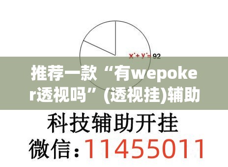 推荐一款“有wepoker透视吗”(透视挂)辅助透视教程