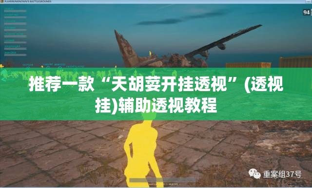 推荐一款“天胡荽开挂透视”(透视挂)辅助透视教程