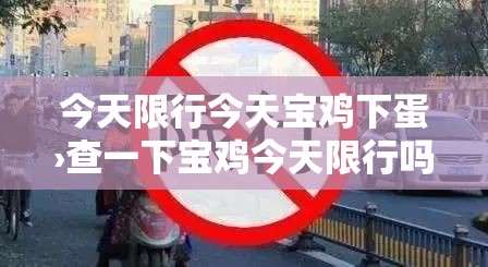 今天限行今天宝鸡下蛋›查一下宝鸡今天限行吗