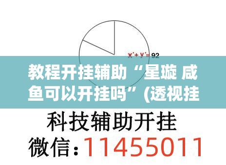 教程开挂辅助“星璇 咸鱼可以开挂吗”(透视挂)辅助透视教程