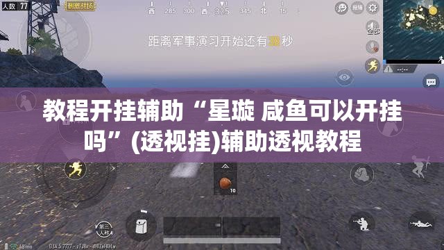 教程开挂辅助“星璇 咸鱼可以开挂吗”(透视挂)辅助透视教程