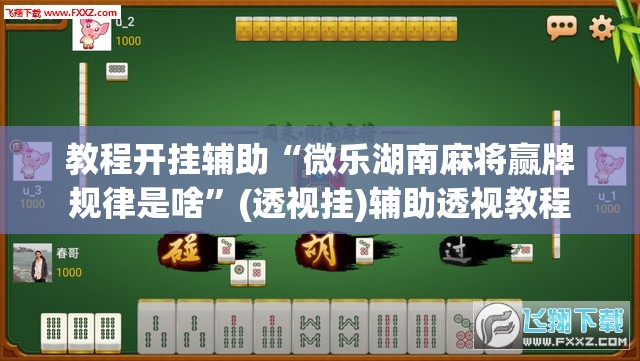 教程开挂辅助“微乐湖南麻将赢牌规律是啥”(透视挂)辅助透视教程