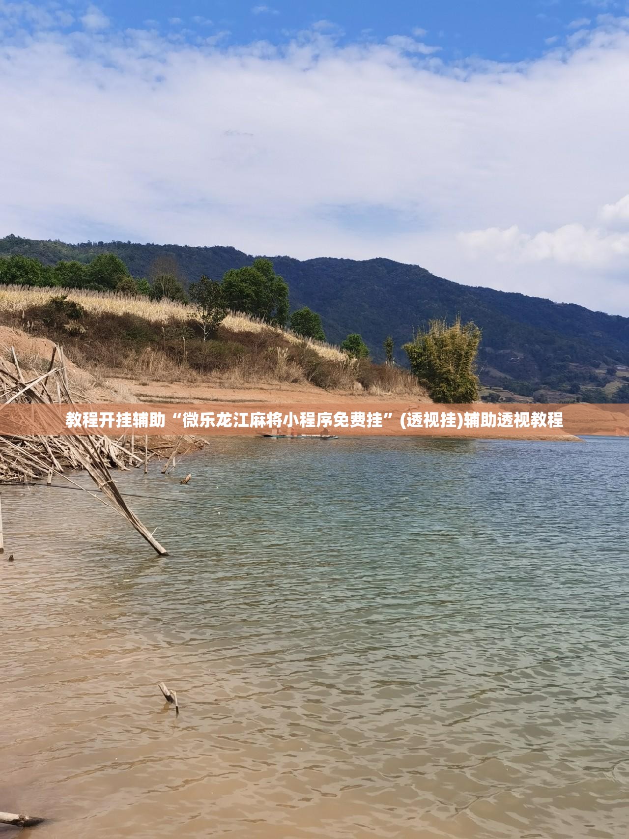 教程开挂辅助“微乐龙江麻将小程序免费挂	”(透视挂)辅助透视教程
