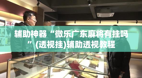 辅助神器“微乐广东麻将有挂吗	”(透视挂)辅助透视教程