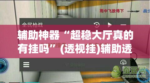 辅助神器“超稳大厅真的有挂吗”(透视挂)辅助透视教程