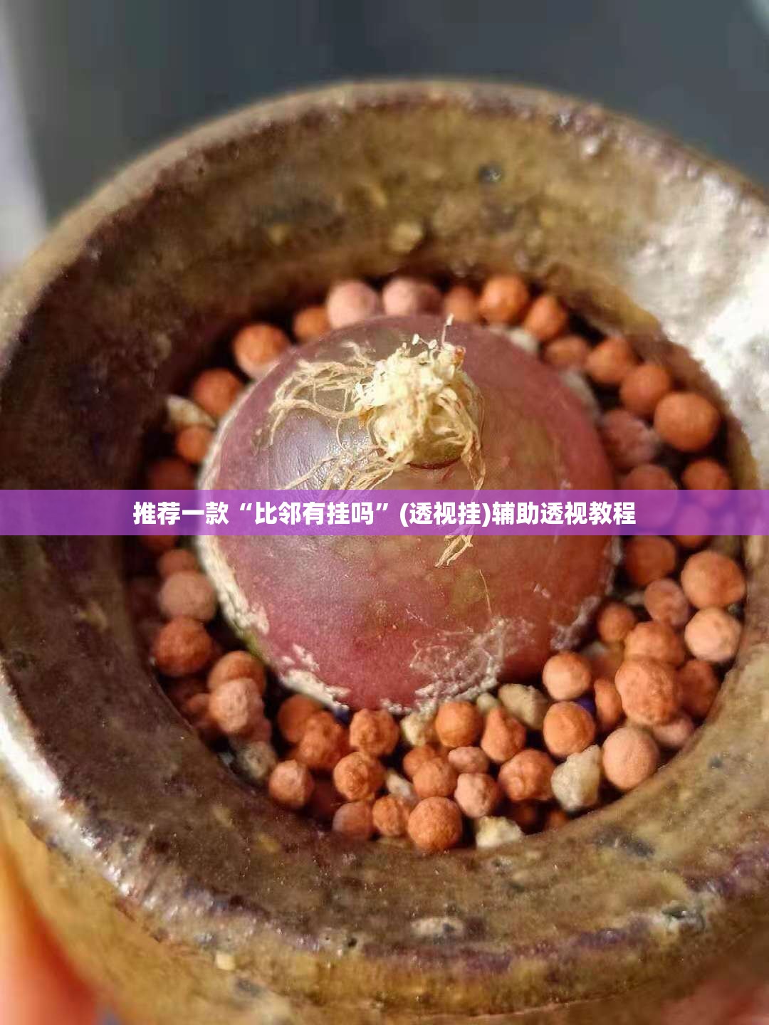 推荐一款“比邻有挂吗”(透视挂)辅助透视教程