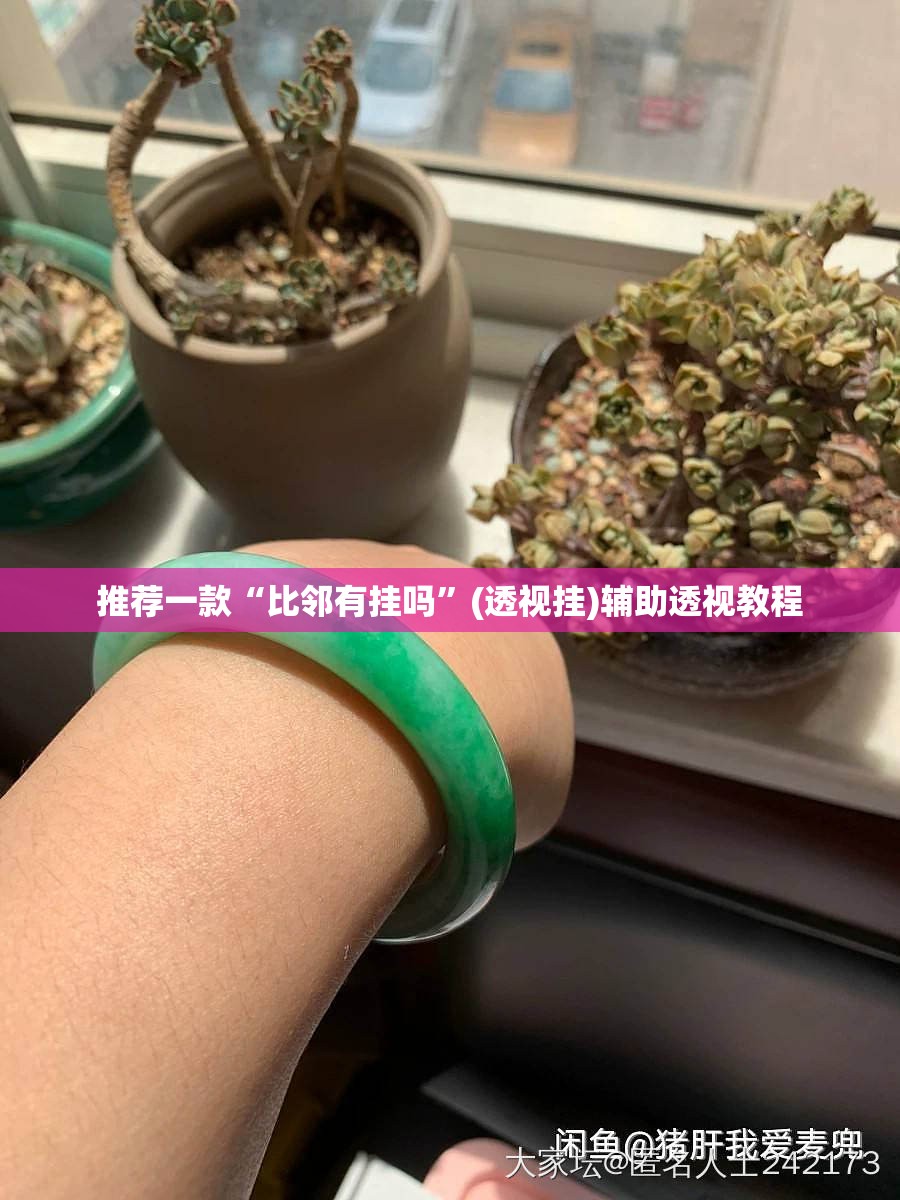 推荐一款“比邻有挂吗”(透视挂)辅助透视教程