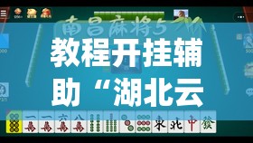 教程开挂辅助“湖北云雀麻将确实有挂吗	”(透视挂)辅助透视教程