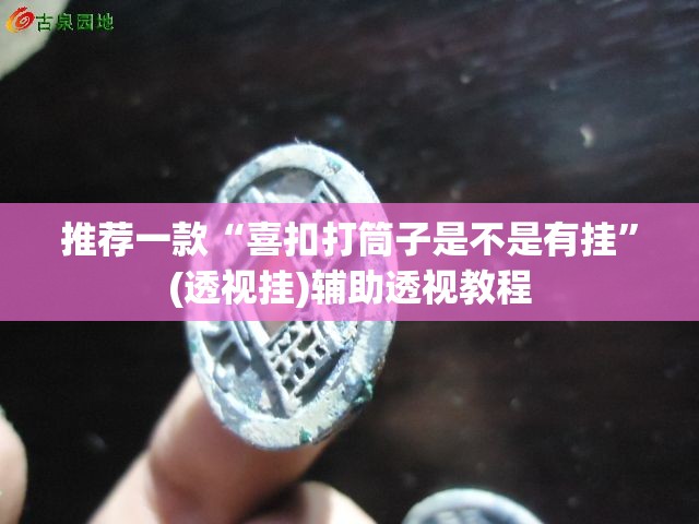 推荐一款“喜扣打筒子是不是有挂”(透视挂)辅助透视教程