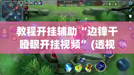 教程开挂辅助“边锋干瞪眼开挂视频”(透视挂)辅助透视教程