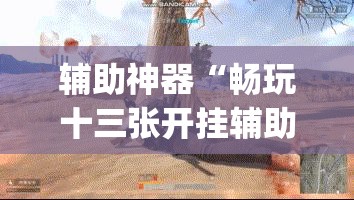 辅助神器“畅玩十三张开挂辅助软件	”(透视挂)辅助透视教程
