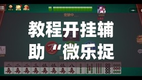教程开挂辅助“微乐捉鸡麻将开挂教程步骤图”(透视挂)辅助透视教程