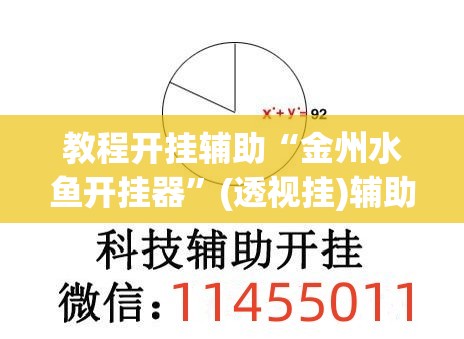 教程开挂辅助“金州水鱼开挂器	”(透视挂)辅助透视教程