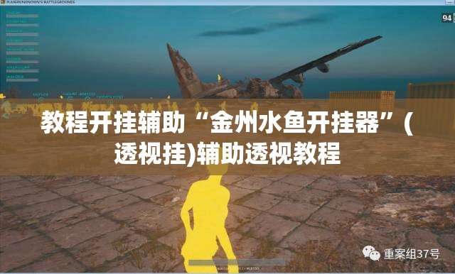 教程开挂辅助“金州水鱼开挂器”(透视挂)辅助透视教程