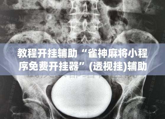 教程开挂辅助“雀神麻将小程序免费开挂器	”(透视挂)辅助透视教程
