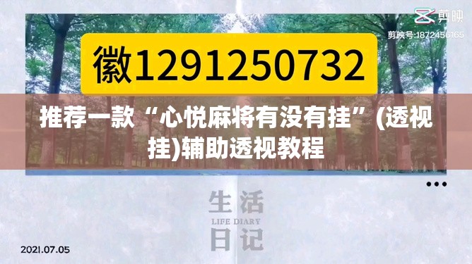 推荐一款“心悦麻将有没有挂”(透视挂)辅助透视教程