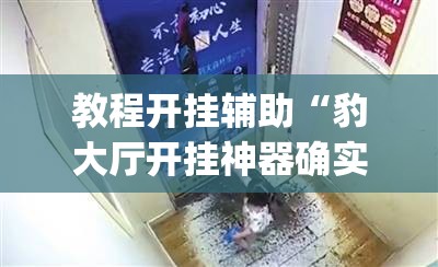 教程开挂辅助“豹大厅开挂神器确实真有挂	”(透视挂)辅助透视教程