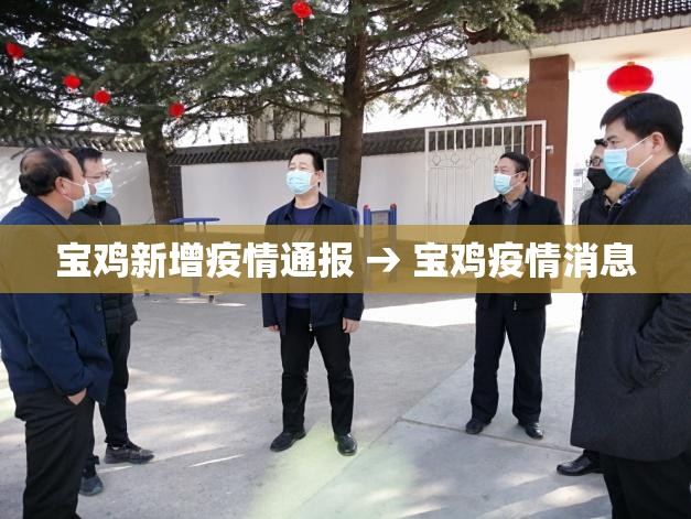 宝鸡新增疫情通报 → 宝鸡疫情消息