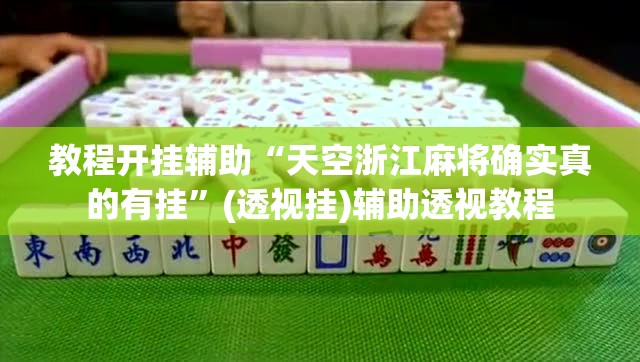 教程开挂辅助“天空浙江麻将确实真的有挂”(透视挂)辅助透视教程