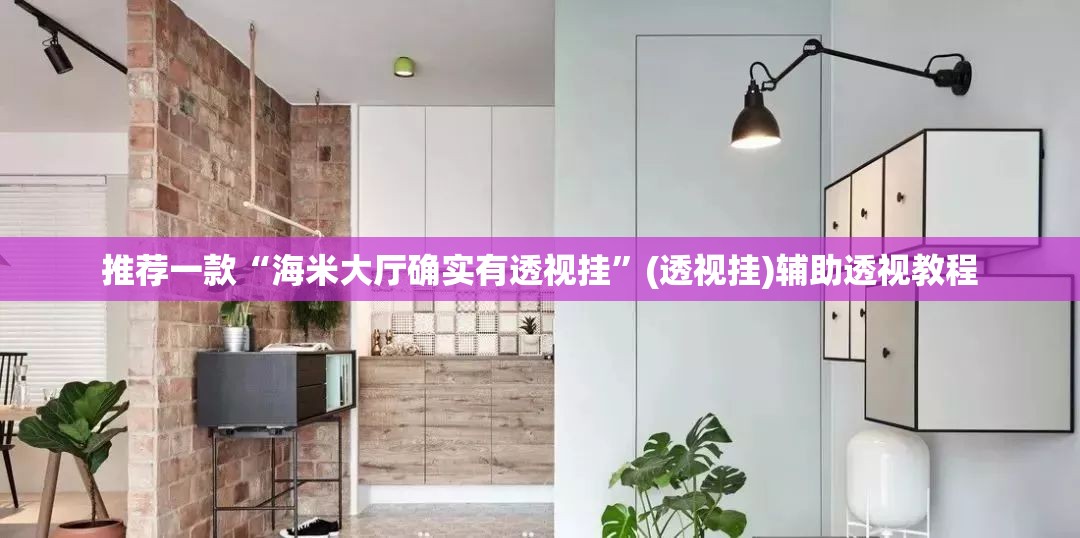 推荐一款“海米大厅确实有透视挂”(透视挂)辅助透视教程