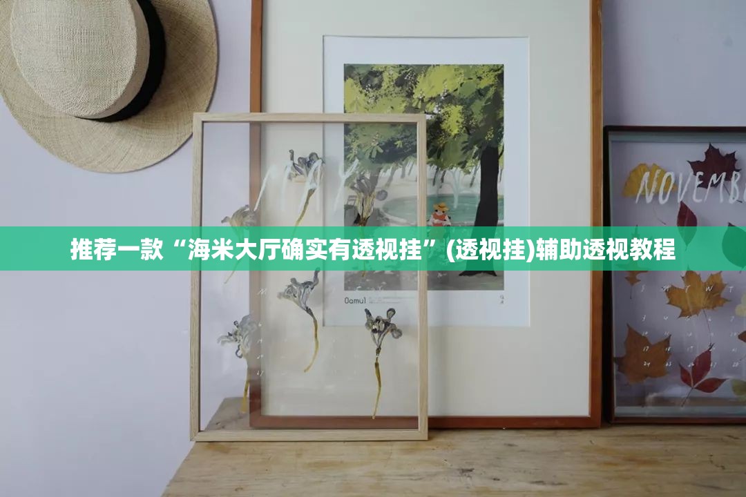 推荐一款“海米大厅确实有透视挂”(透视挂)辅助透视教程