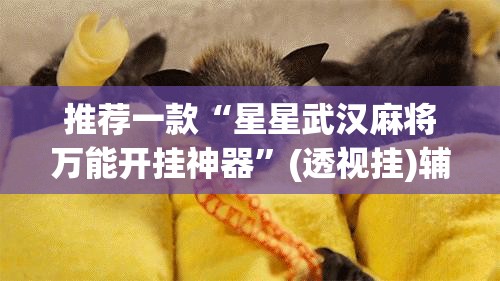 推荐一款“星星武汉麻将万能开挂神器”(透视挂)辅助透视教程